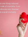 This one thing reduced the risk of mortality from cardiovascular disease and overall mortality.