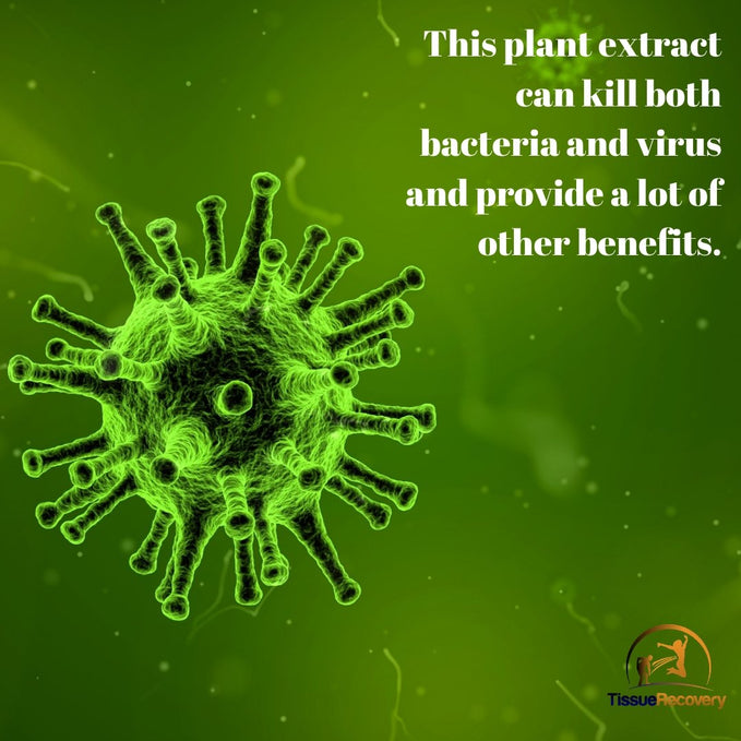 This plant extract can kill both bacteria and virus and provide a lot of other benefits.