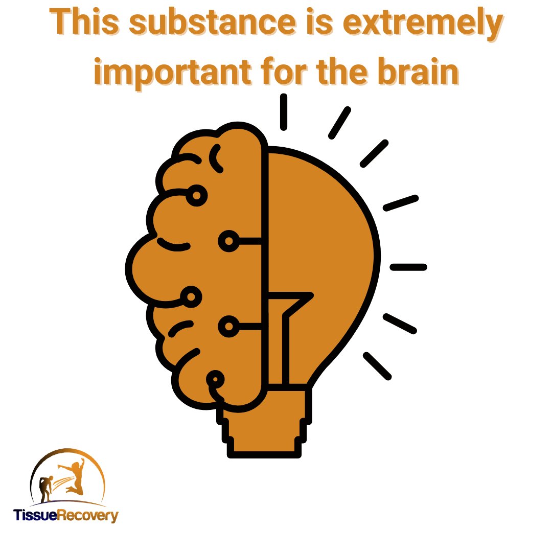 This substance is extremely important for the brain