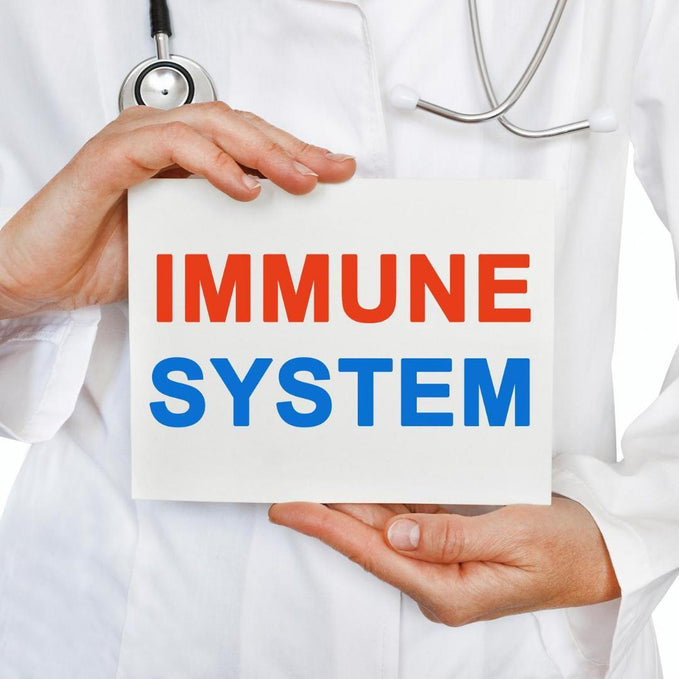 This substance is extremely important for the immune system.