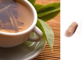 Green tea increases the burning of fat for energy. | tissuerecovery