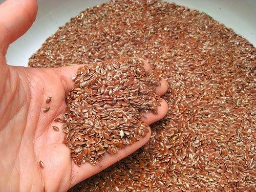 Flax seeds may modify estrogen metabolites and reduce tumor growth. | tissuerecovery