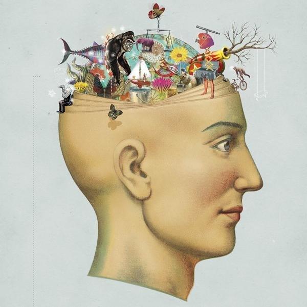 Imagine How It would Be To Have a Great Memory For Life? | tissuerecovery