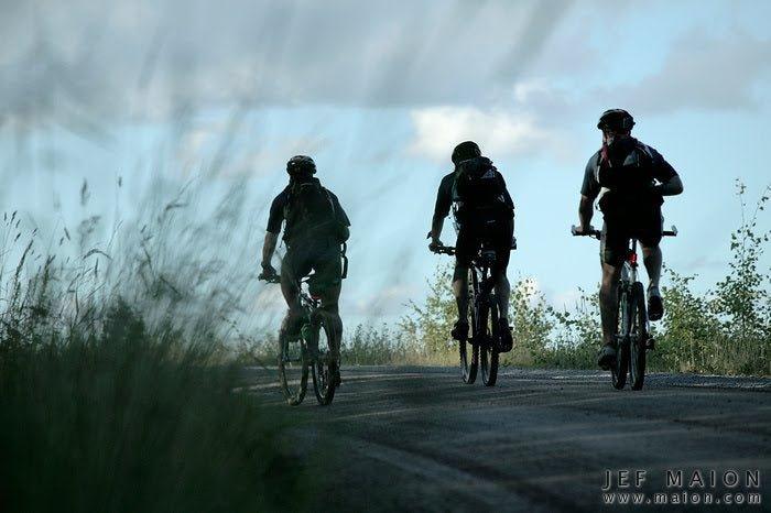 Intelligence affected by fitness | tissuerecovery