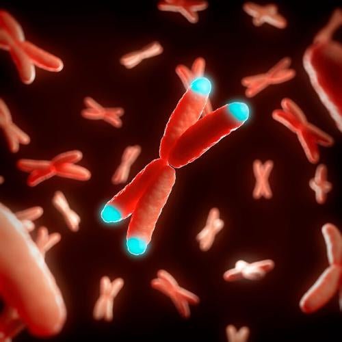 Can this prevent early mortality? Let’s look at the research. | tissuerecovery