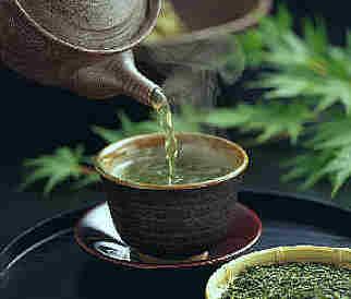 Green tea provides impressive benefits for the prostate | tissuerecovery