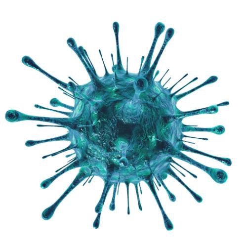 How do you stay healthy long term and effectively fight off pathogens? | tissuerecovery