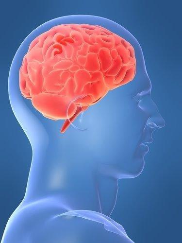 Research documents an easy way to slow brain shrinkage. | tissuerecovery